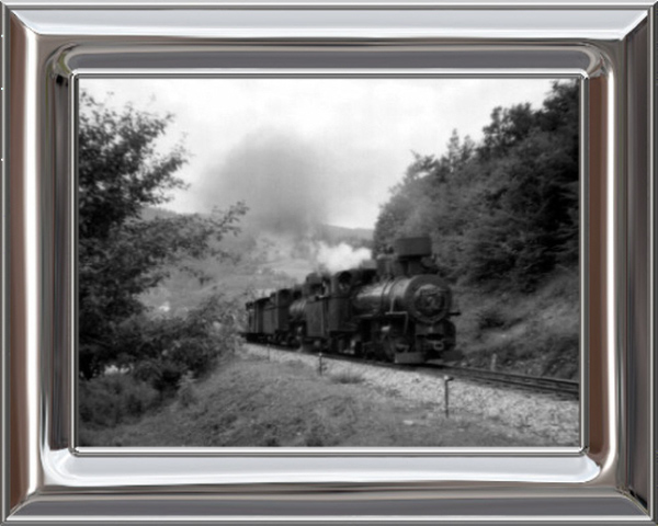 83034